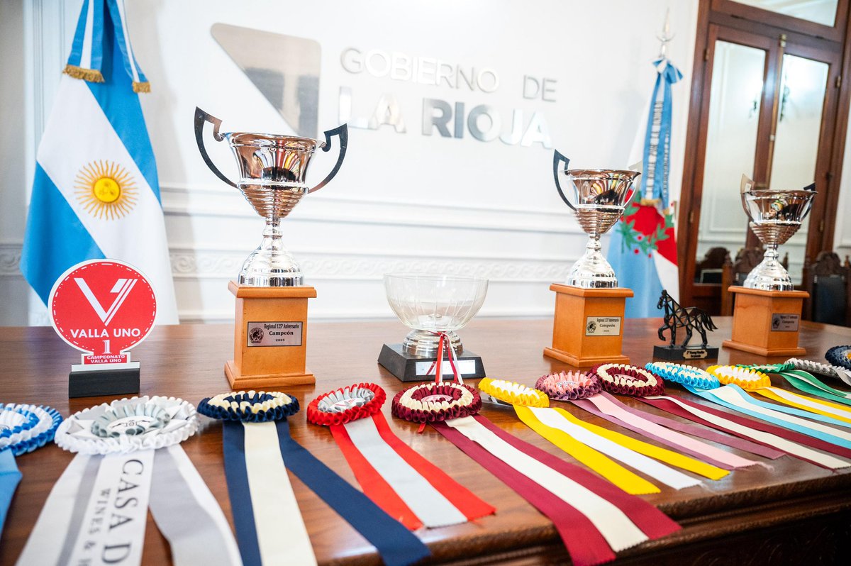 En nuestra provincia hay deportes en crecimiento que captan cada vez más talentos entres los niños, niñas y las juventudes. 

El Club Hípicos RV, es un ejemplo de talento, perseverancia y crecimiento. Recibí, la visita de algunos de sus alumnos y alumnas en Casa de Gobierno, que