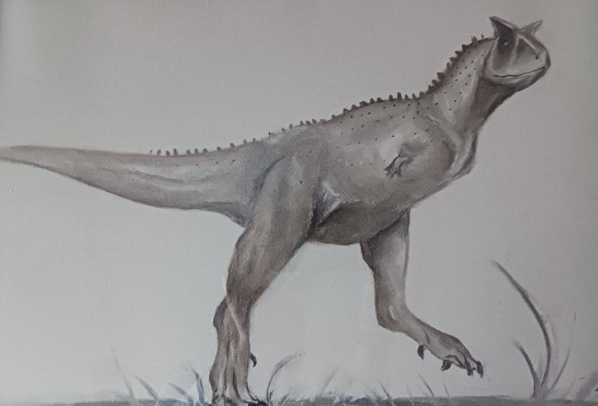 ostrumsoffice's tweet photo. Carnotaurus ! yippee
#paleoart #paleoartist #prehistoricart https://t.co/J8wLRW0REr