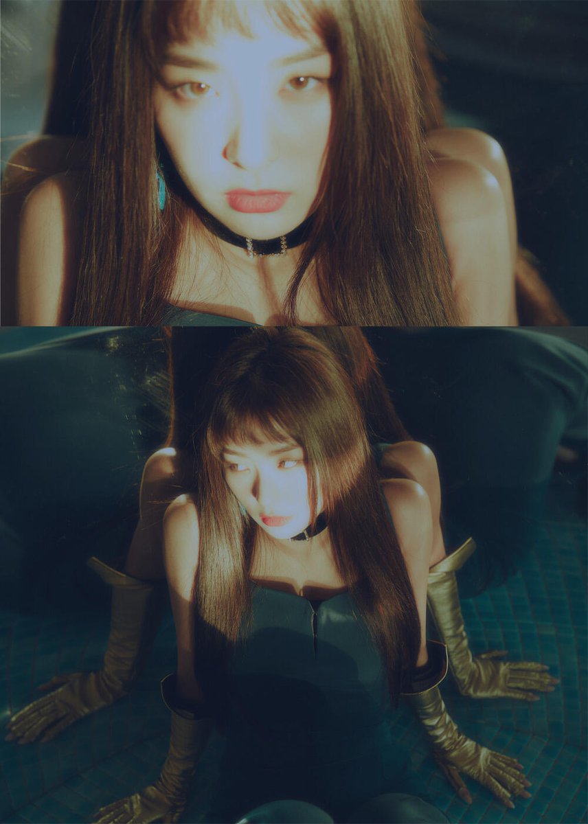 KSG Updates tweet media