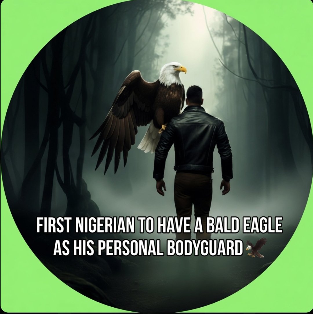 EL-11 🦅 tweet media