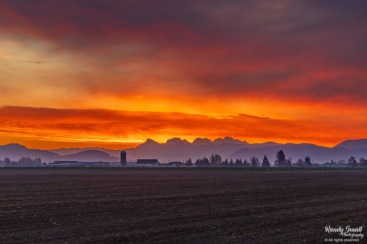 RandySmall's tweet image. Well, that amazing painting in the sky happened this morning! Last night, I said to myself, tomorrow morning has to have a chance at a great sunrise. And this morning did not disappoint!

Lynden, WA
#sunrise #pnw #wawx