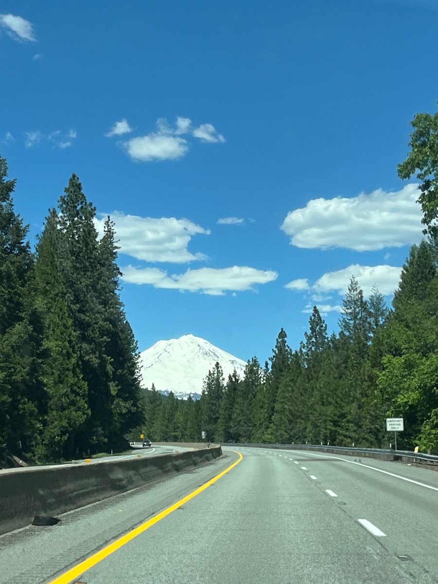 Laura Devlin tweet media