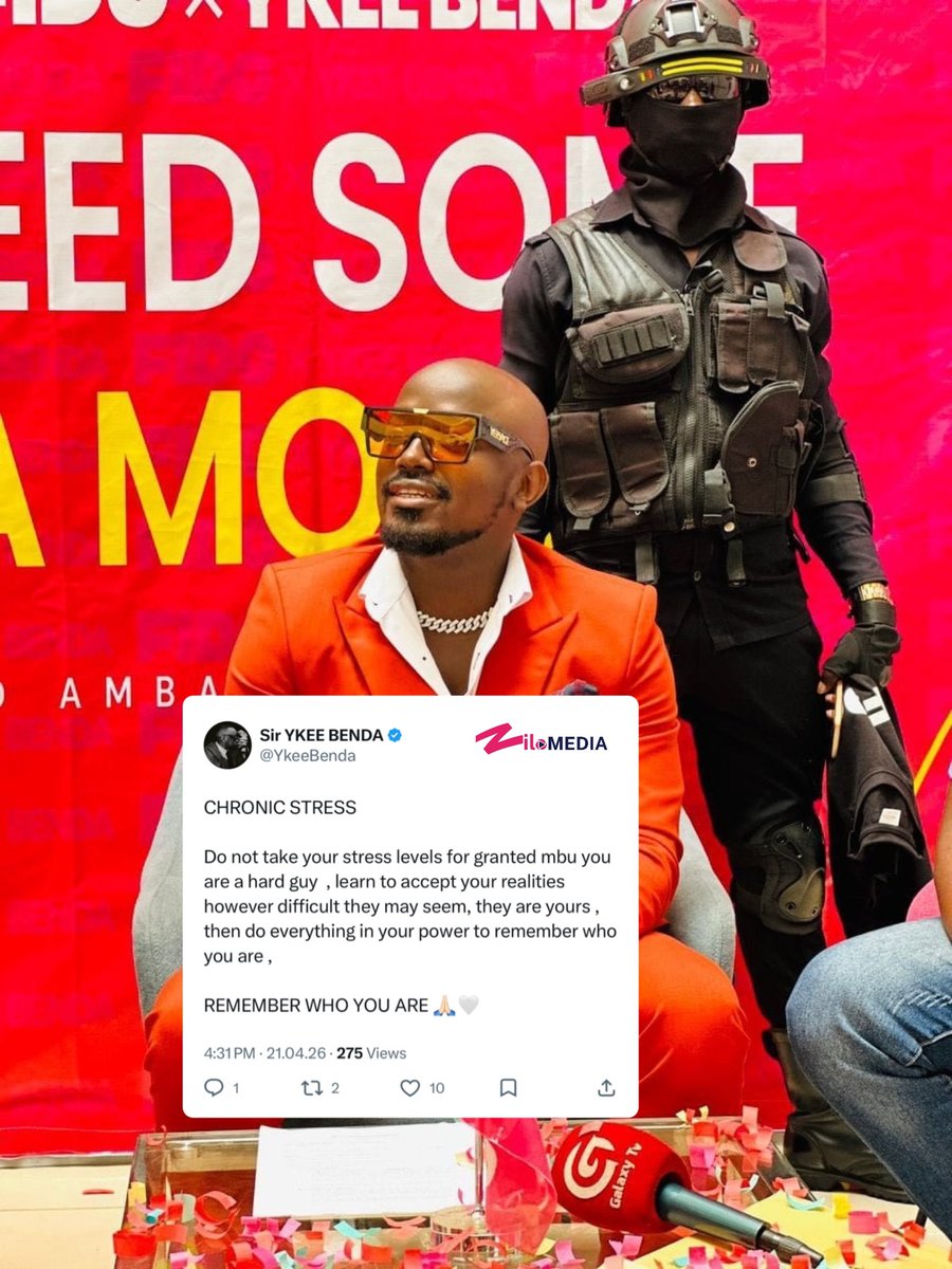 Zilo tweet media