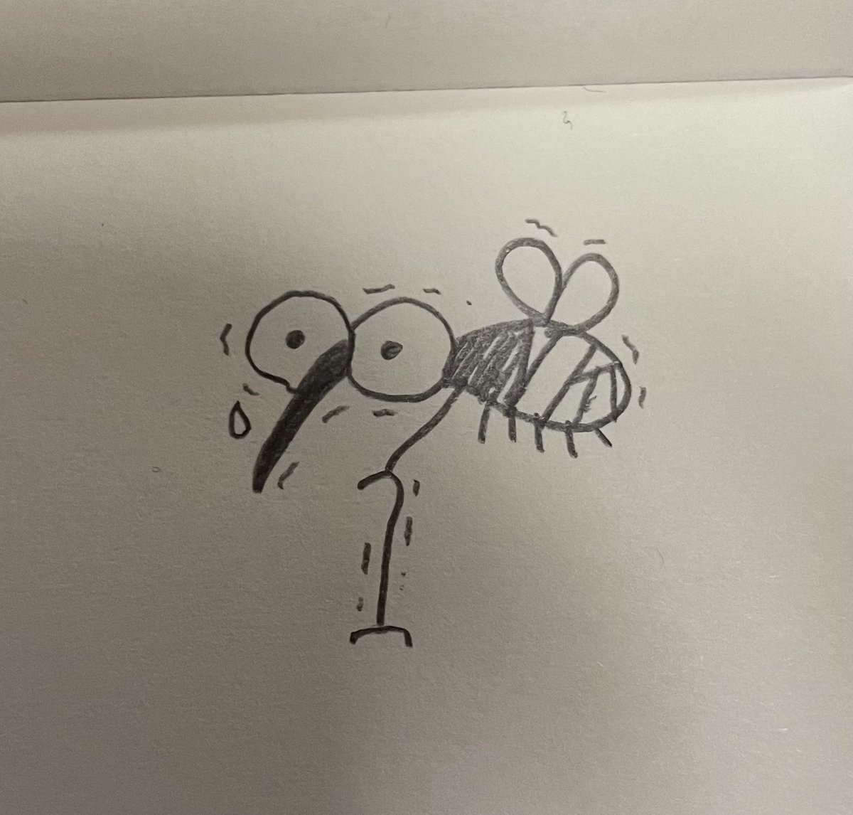 (ぎっくり……やっちゃった……デザフェス直前じゃなくて良かった……鍼行きます……)