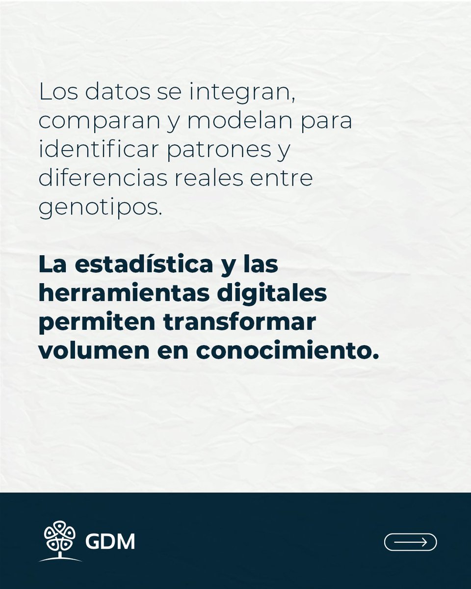 GDM tweet media