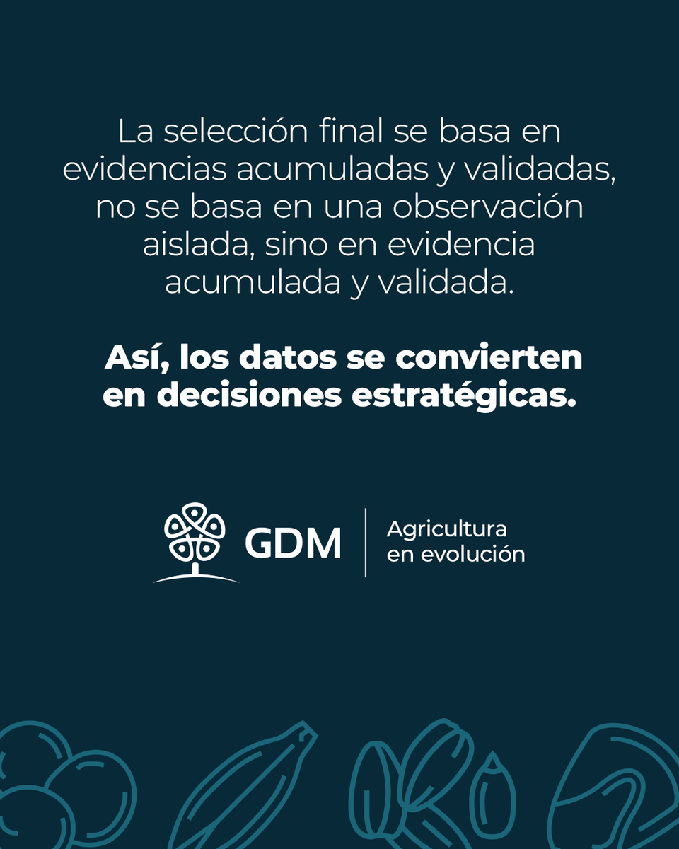 GDM tweet media