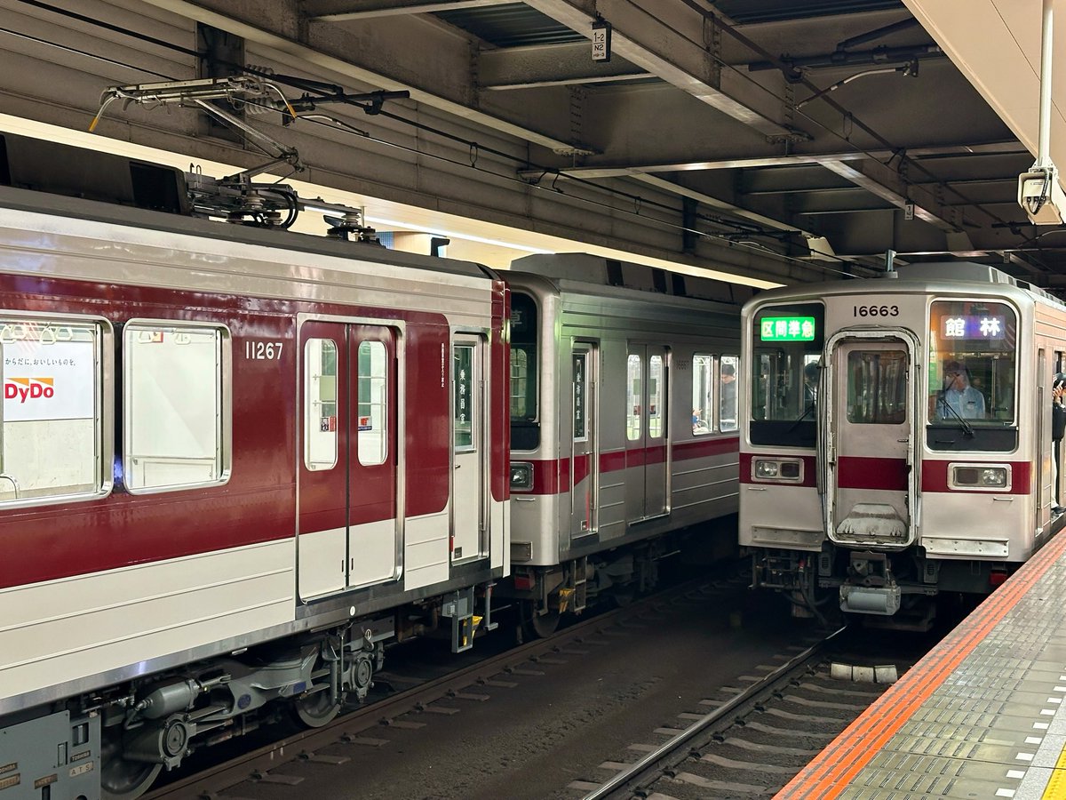 ナイマネちゃん tweet media