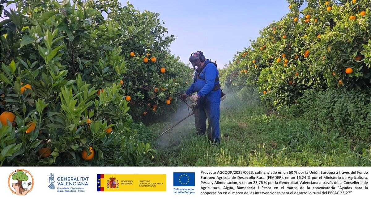 Cooperatives Agro-alimentàries CV tweet media