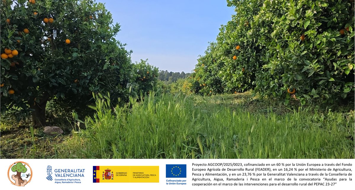 Cooperatives Agro-alimentàries CV tweet media