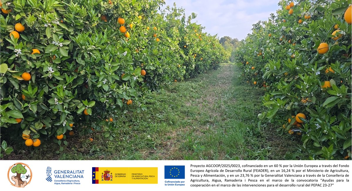 Cooperatives Agro-alimentàries CV tweet media
