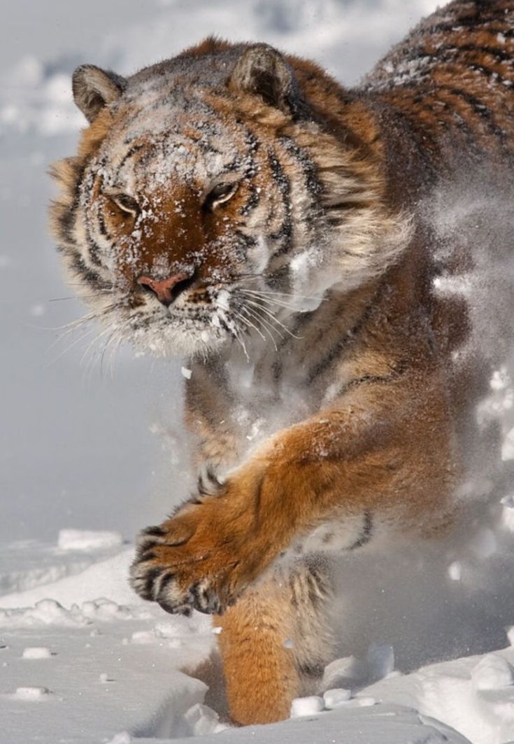 💛♡⡷⠂ʟɪɴ ʜᴜ⠐⢾♡💛 SLOW REPLIES tweet media