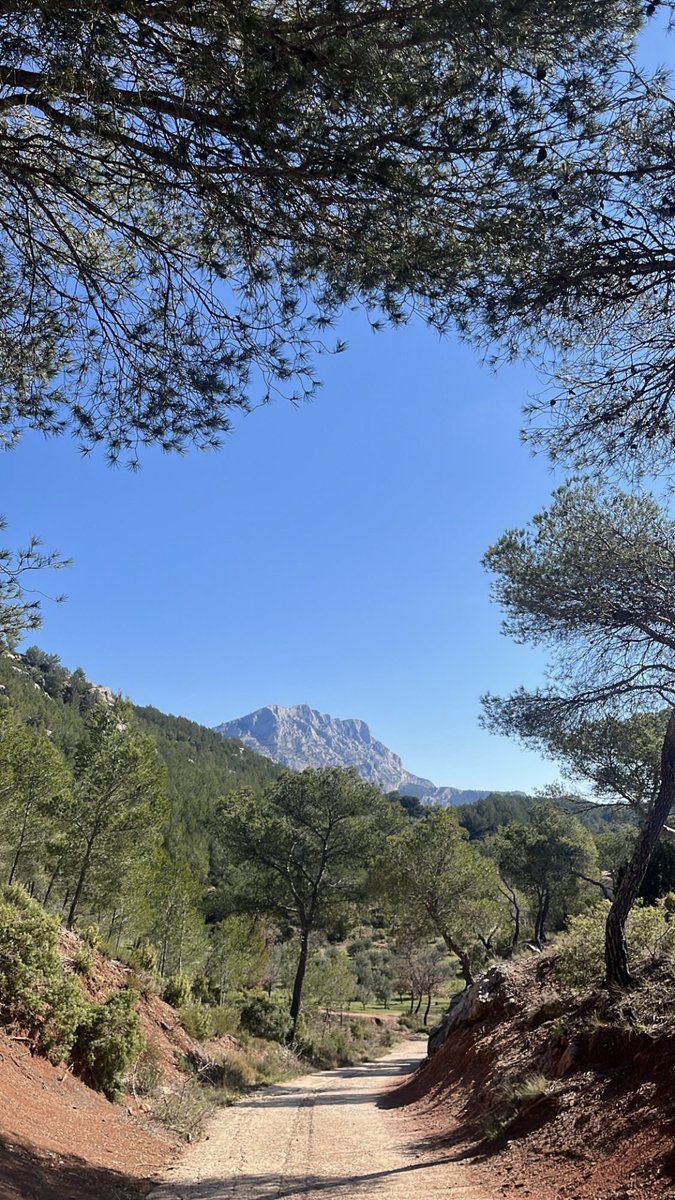 𝘼𝙠𝙨𝙚𝙡 ˙⋆✮ tweet media