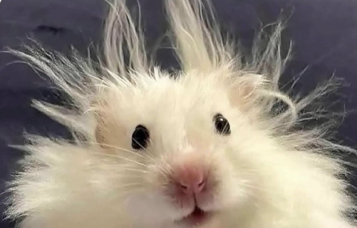 Cuando me dicen “Tienes que llegar radiante al trabajo”

— Yo: “Mira, estoy tratando de llegar despierto, no me presiones”