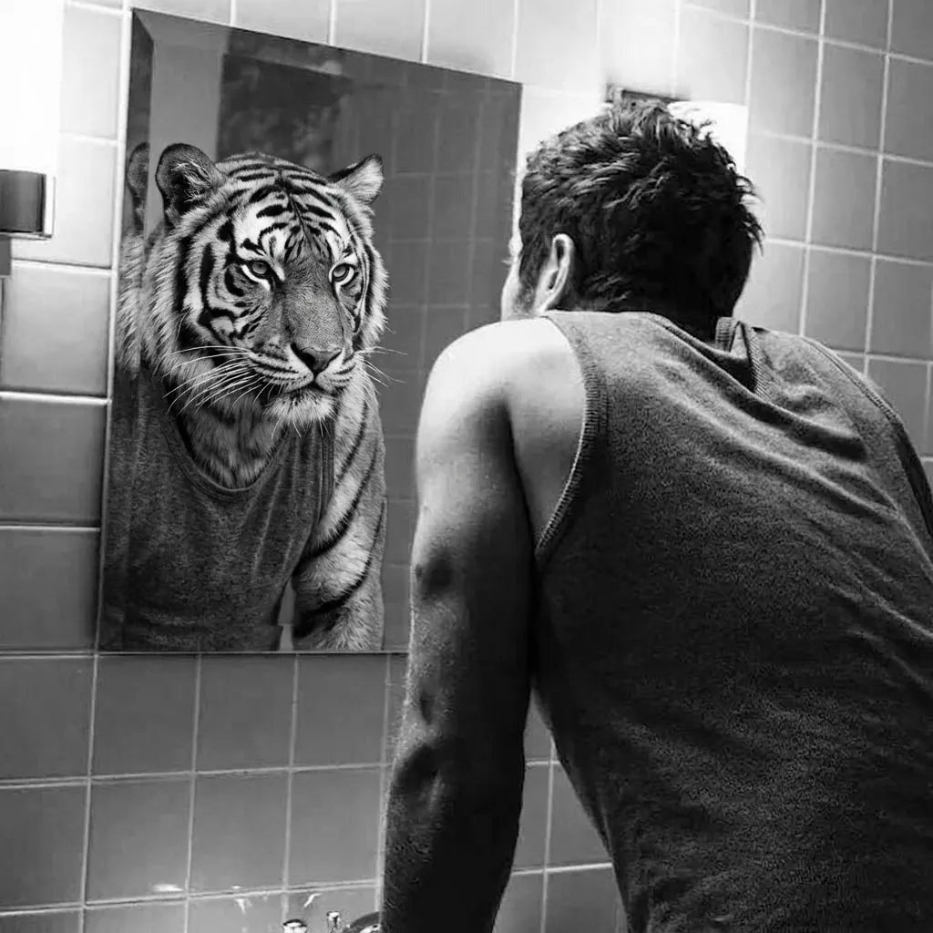 TigerLinkz tweet media