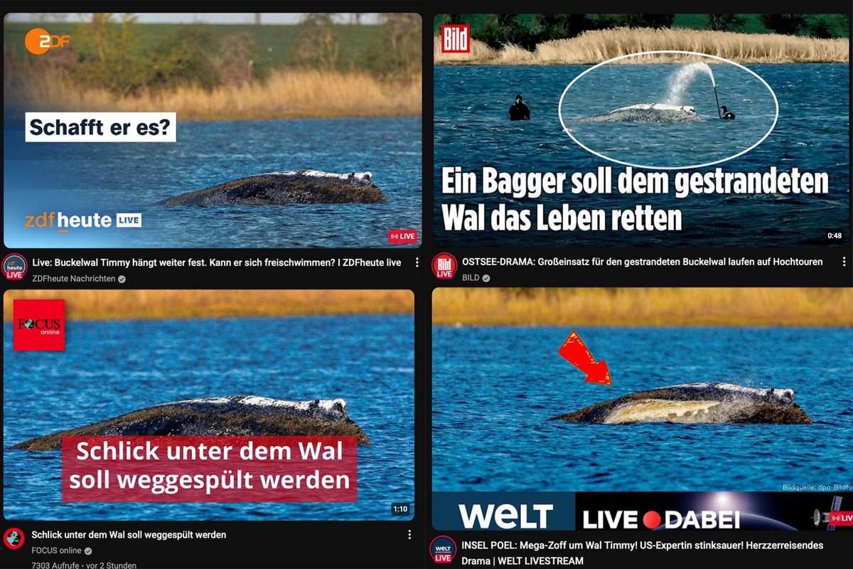 Kay Gottschalk tweet media