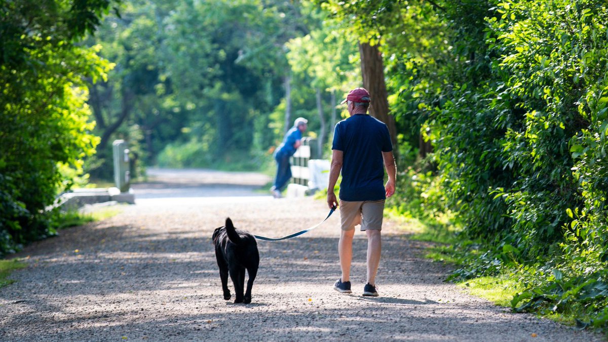 Checklist tweet media