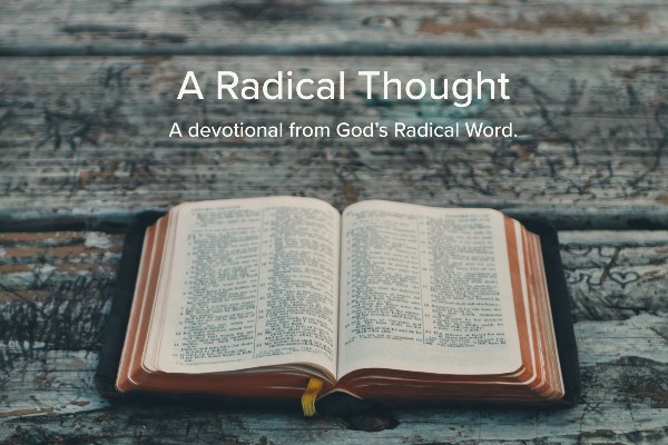 ARadicalThought's tweet photo. Humans were created to worship God. A Radical Thought on Psalm 89:15 - https://t.co/YZbX6sZ2mv https://t.co/8U7p0Sy66D