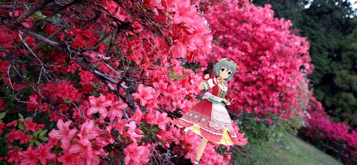 ひむち_DX🍎/きむち大福🦋 tweet media