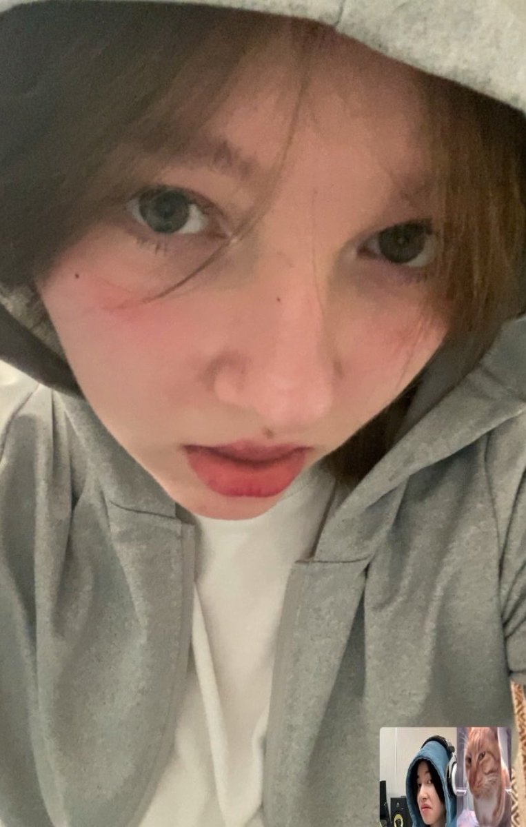 paulina ⊹ ࣪ ˖ luat era !! tweet media