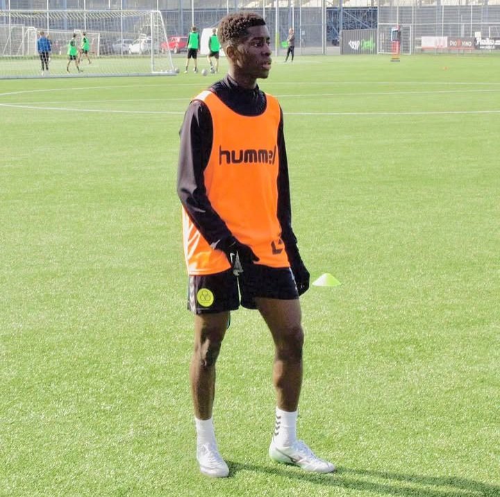 Halis - Africa Scouting tweet media