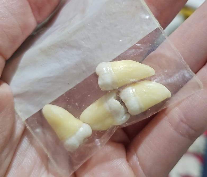 Mariilob's tweet photo. Hice mudanza y a mí la reorganización de una mudanza me dura meses, peeeeroooo perdí algo que no debía perder; la USB con mi e.firma, y encontré mis muelas del juicio pero no mi e.frima, cuándo será el día en el que pueda llevar una vida minimalista 🙃 https://t.co/0FM7vvudag