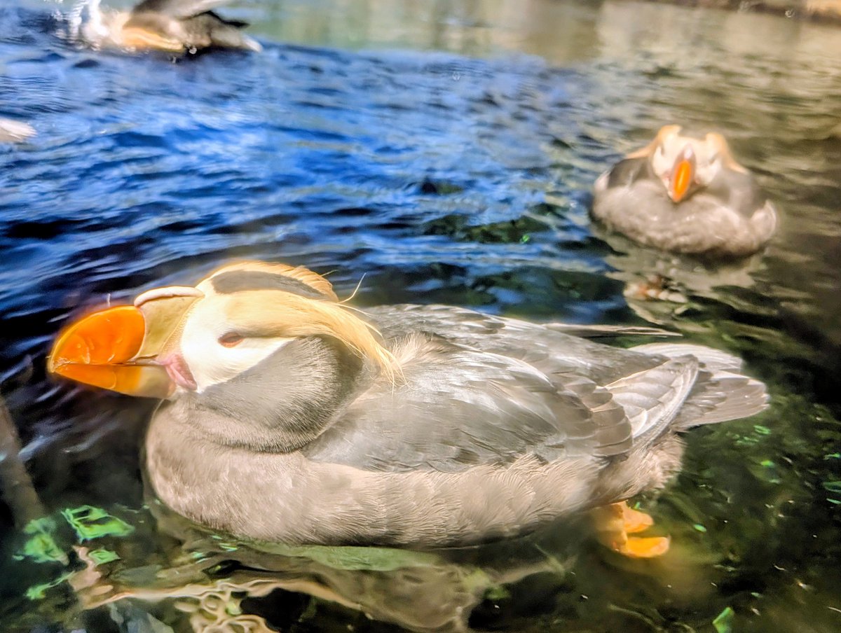 ちゃき♐ tweet media