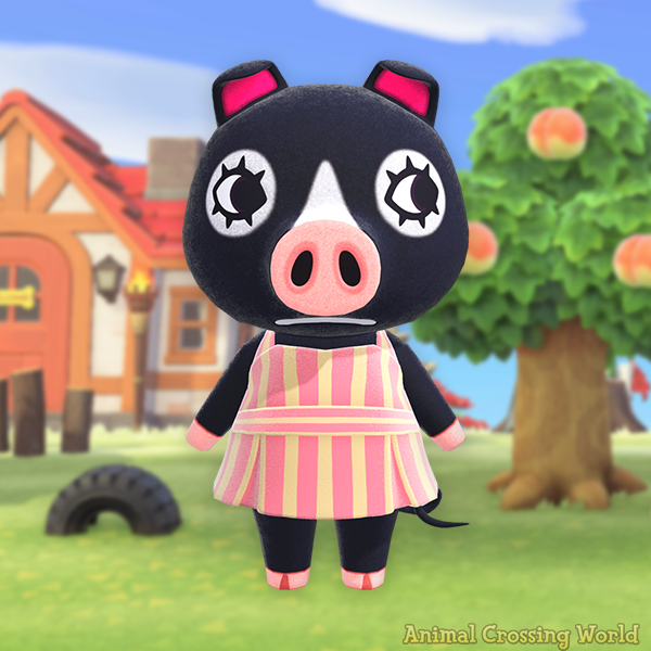 Animal Crossing World 🏝️ tweet media