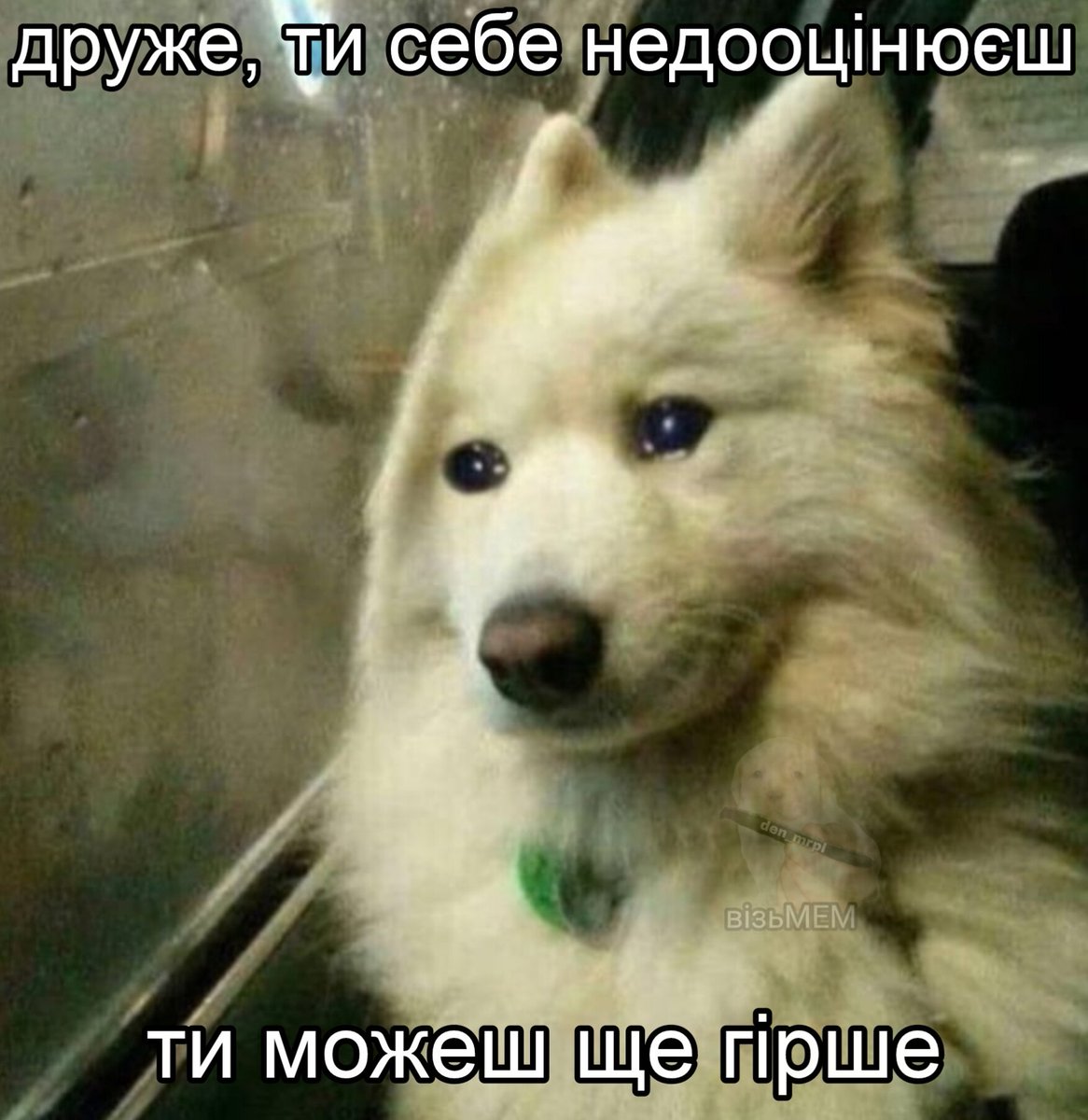 візьМЕМ (@with_mem) on Twitter photo 