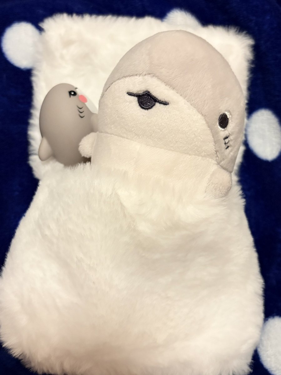 おぶさんぽ📸ぬい旅記録 tweet media