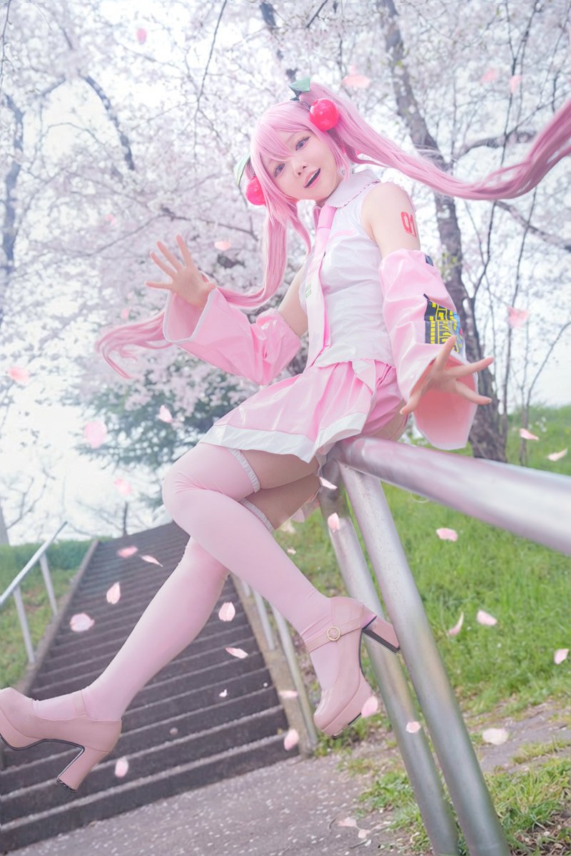 しゃちつづる🗡🐋 tweet media