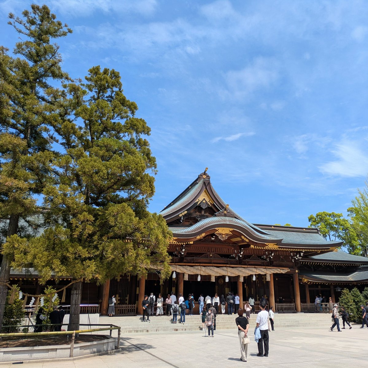 家出ナゴム tweet media