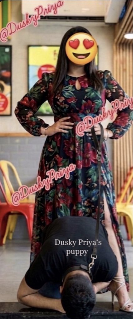 Dusky priyas Puppy tweet media