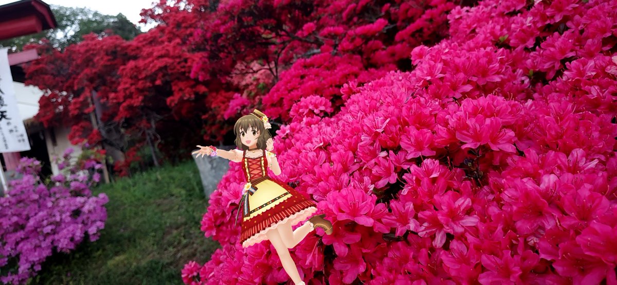 ひむち_DX🍎/きむち大福🦋 tweet media