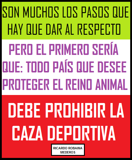 Ricardo Robaina tweet media
