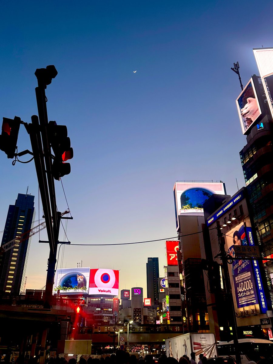 花本朔_はなもとさく tweet media