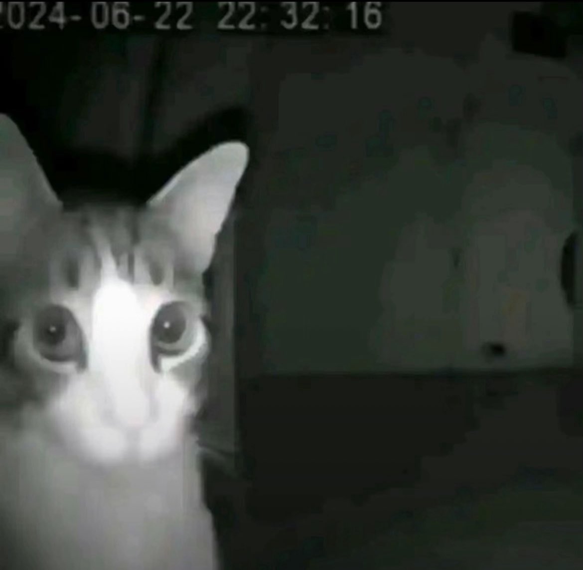 can someone explain what’s w these cursed grogu pfps..