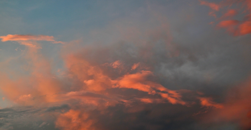 i9663vi's tweet image. Good evening with the magic of the clouds.

stepart.it/index.php/ffff…

#Stepart #nature #fotography #naturemagic #fotographies #naturelove