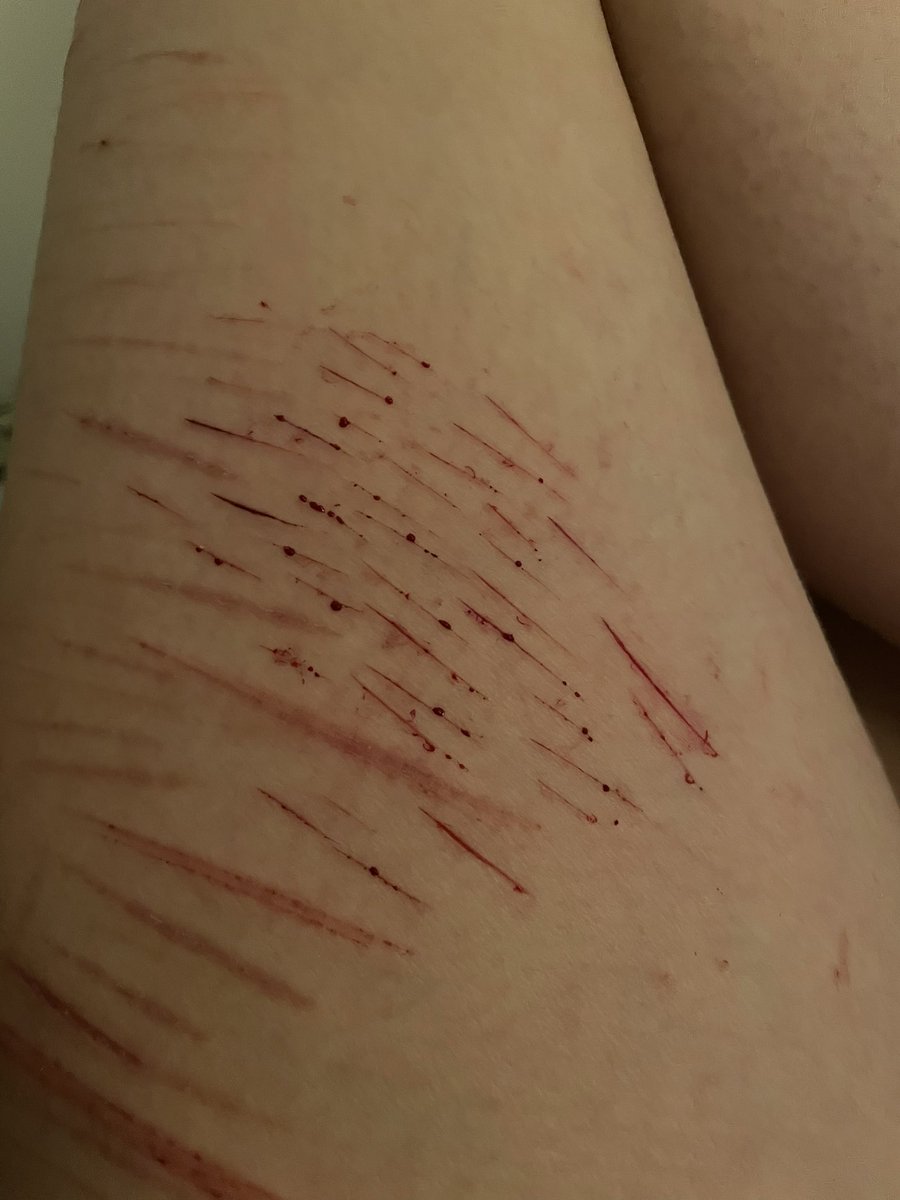 ♡ྀི‧₊˚ 𝓙𝓾𝓵𝔂•^ tweet media