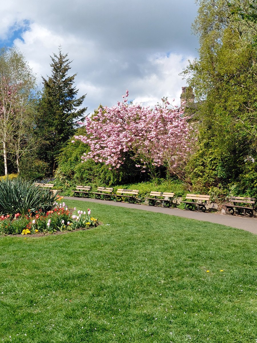 MyFaveBench's tweet image. Valley Gardens in #Harrogate looking stunning this morning. I would have sat on the benches longer but there was a cold wind blowing 🥶
#Benchlove