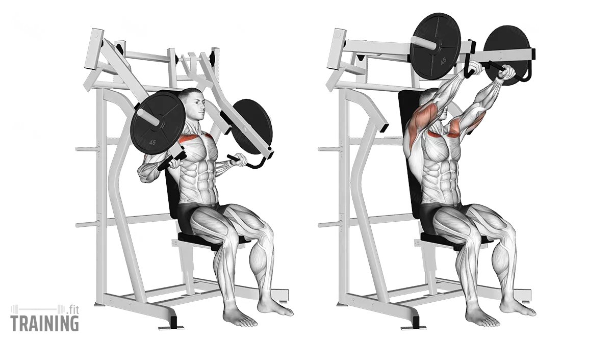 GymMaxxer tweet media