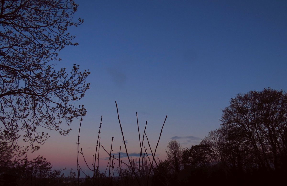 angegarrod's tweet image. Pale golden #sunset 15.8% Waxing Crescent moon 21/4/26

#moonwatch #wonders #loveukweather #astronomy @MoonHourSocial
