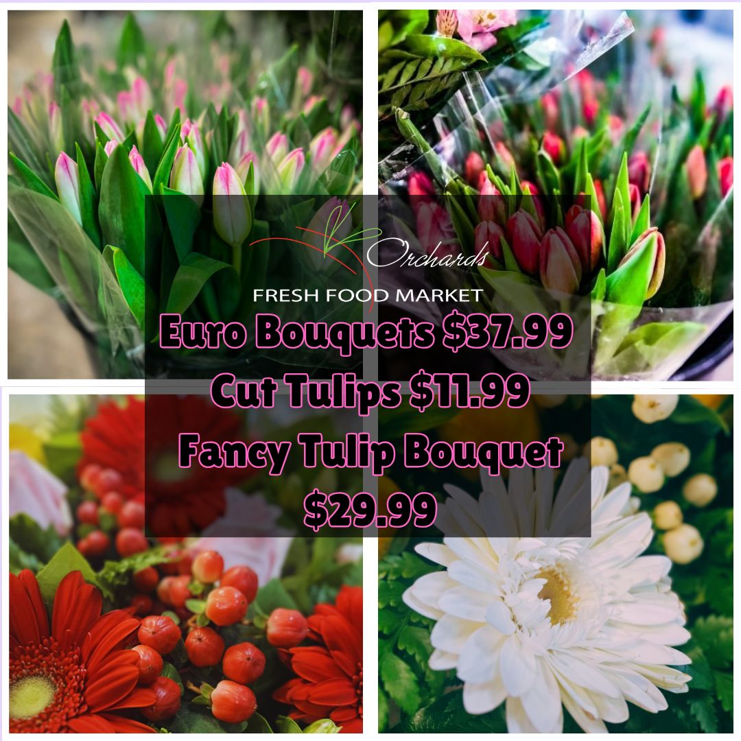 OrchardsFF's tweet image. Brighten up your home TODAY and bring on the SPRING VIBES! 🌷✨
Cut Tulips – $11.99
Fancy Tulip Bouquet – $29.99
Euro Bouquets – $37.99
#freshflowers #springvibes #floraldesign #flowers #onlyatorchards #wherefreshcomesfrom