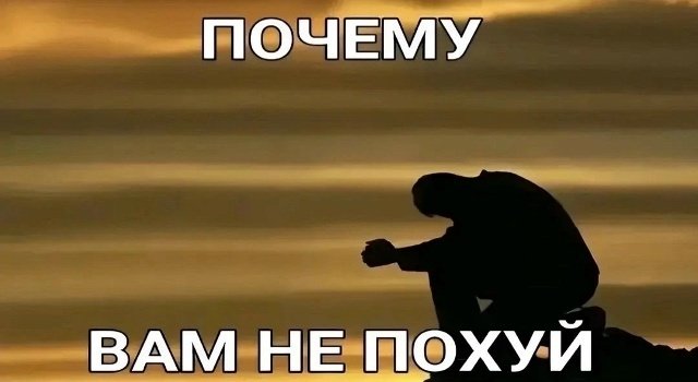 адельхейг tweet media