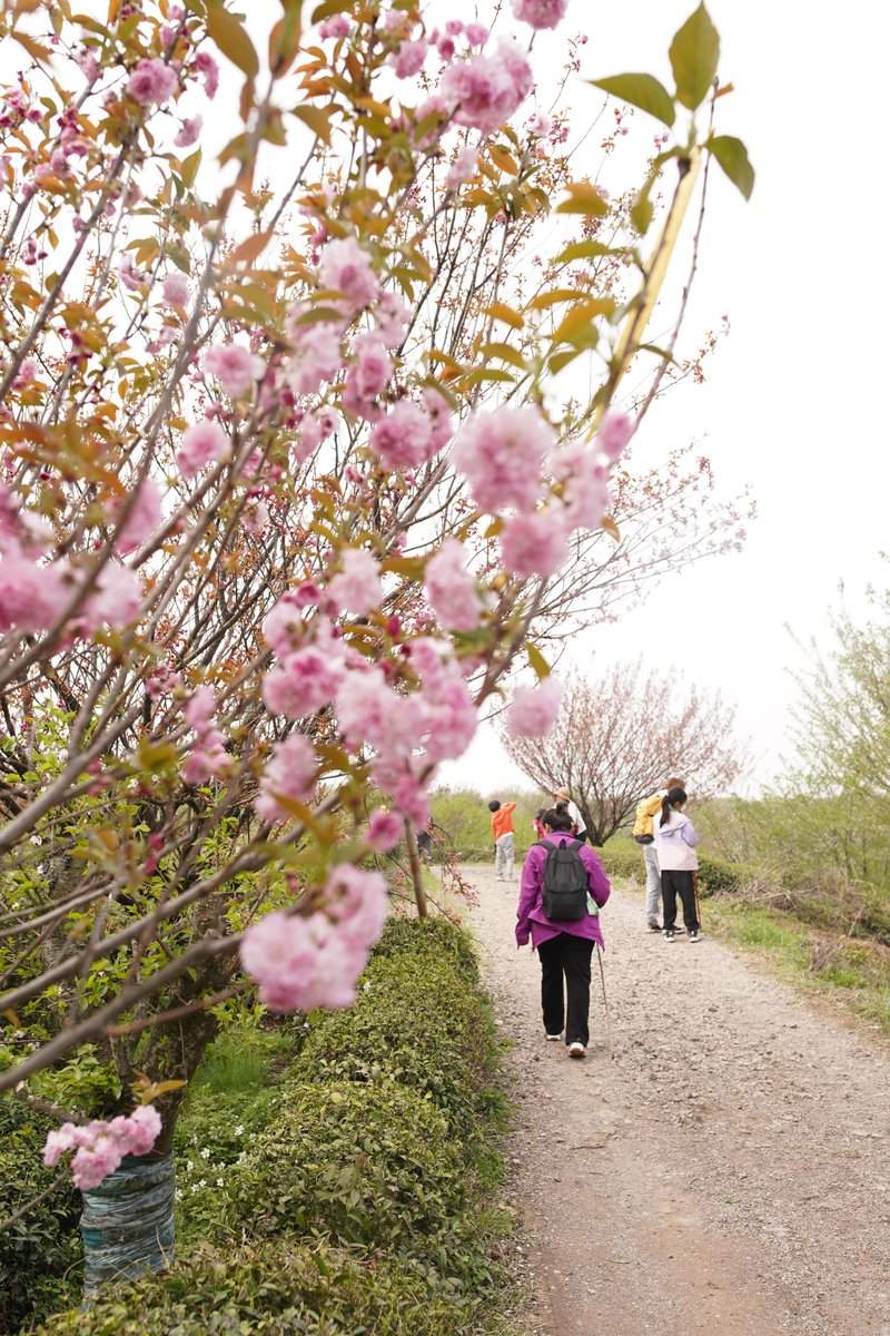 Daisy Hemron tweet media