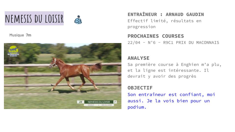 ProprioSpec's tweet photo. 🌟REPERES🌟

Nemesis du Loisir va courir à Lyon dans la première. A Enghien lors de sa première course son comportement m'a plu. Si la progression est au rendez-vous je la vois bien jouer un rôle ! https://t.co/8FjISvDUac