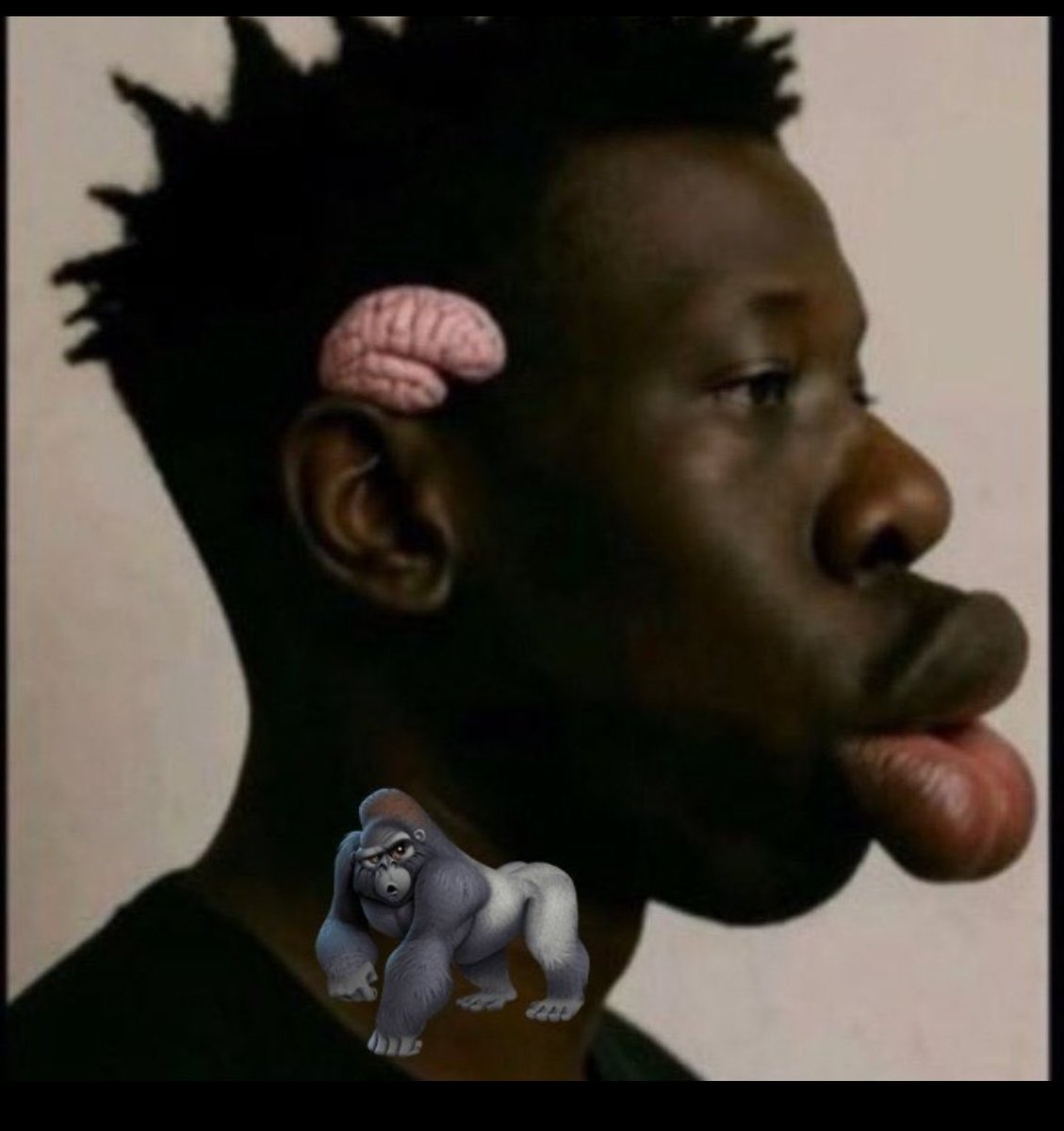 kendrick smith tweet media