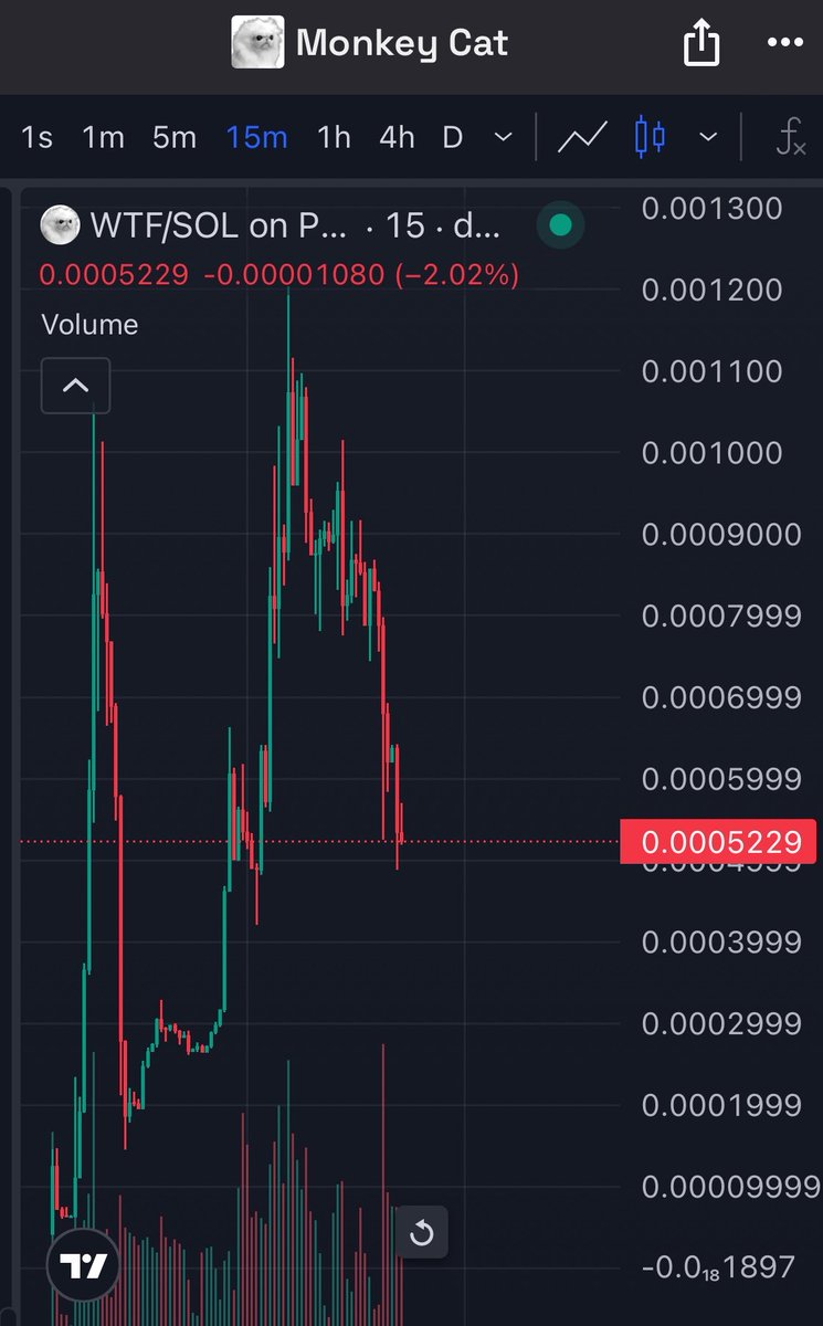 Blunt🚬 tweet media