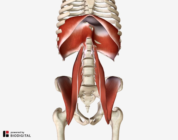 Радиоляйтер 🏳️‍🌈🏳️‍⚧️ tweet media