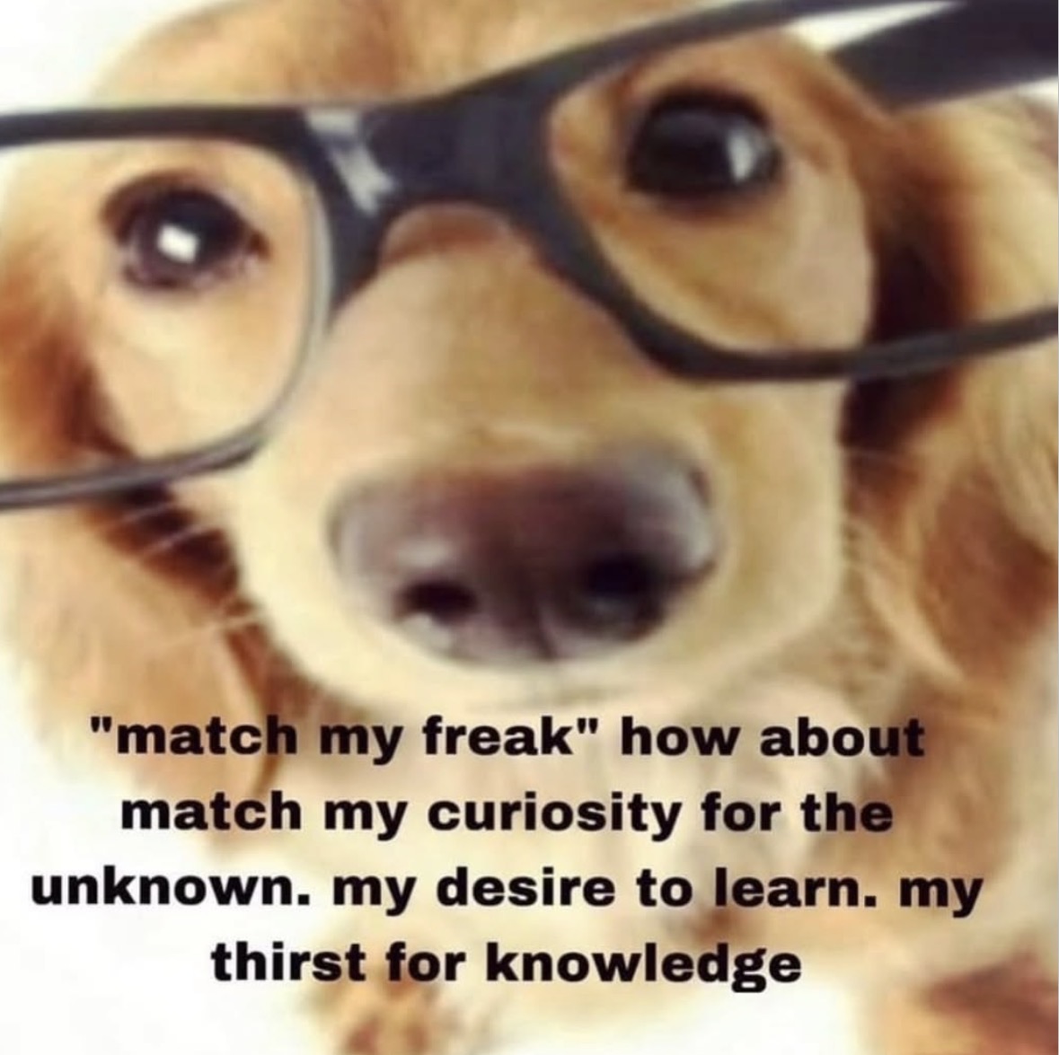 Respectful Memes (@respectfulmemes) on Twitter photo 