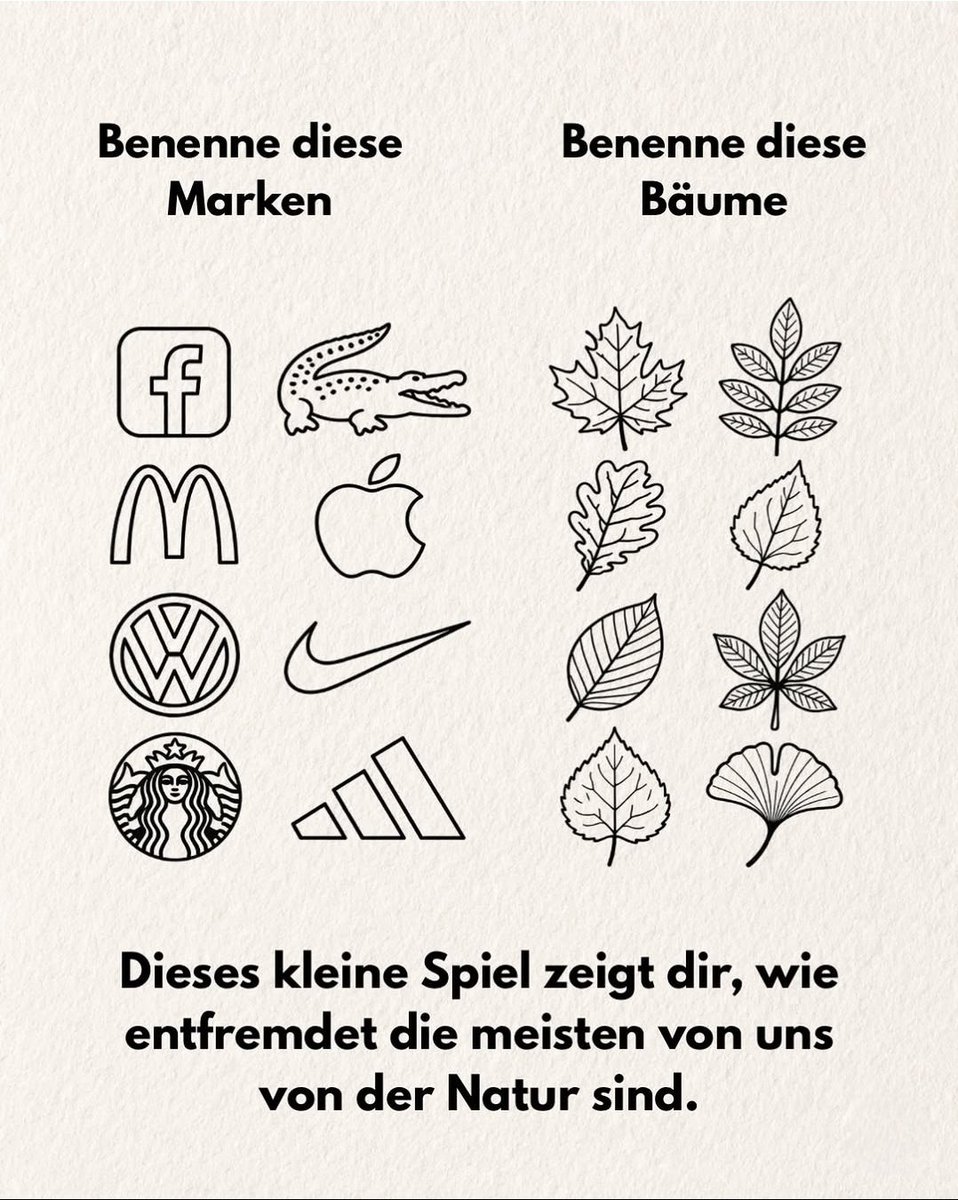 Robin AluHood tweet media